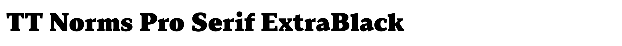 TT Norms Pro Serif ExtraBlack image